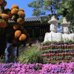 The Ultimate Seoul Itinerary - 3 Days in Seoul 3-days-in-seoul-itinerary-22.jpg