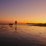 How to Become a House Sitter Altona-Beach-May-2018.jpg