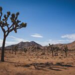 Best-Hikes-in-Joshua-Tree-National-Park.jpg