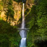 12 Best Hikes in Oregon That will Blow Your Mind Best-Hikes-in-Oregon.jpg