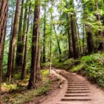 15 Best Hikes in California You have to Do Best-Places-To-Hike-In-California.jpg
