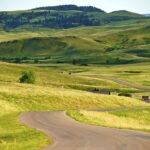 15 Best Things to Do in Custer State Park Best-Things-to-do-in-Custer-State-Park-.jpg