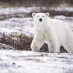 14 Best Travel Charities to Support This Giving Tuesday Best-Travel-Charities.jpg