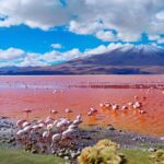 A Bolivia Salt Flats Tour in Uyuni: Everything You Need to Know Bolivia-Salt-Flats-Tour-in-Uyuni.jpg