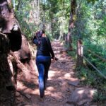 Solo Travel in India - Tips from a Local How-to-travel-Solo-in-India-e1425425737454.jpg