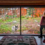 Parc Omega Wolf Cabins: A Weekend Sleeping With The Wolves Parc-Omega-Wolf-Cabin.jpg