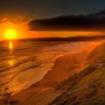 28 Reasons why South Africa should be on your Bucket List South-Africa-wildlife-7-X3.jpg