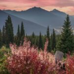 Best Things to do in Revelstoke, BC - Besides Skiing Things-to-do-in-Revelstoke-BC.jpg