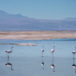 Things-to-do-in-San-Pedro-de-Atacama.jpg