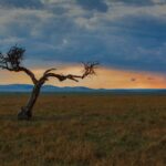 What to Wear on Safari - Africa Travel Inside and Out What-to-wear-on-Safari-header.jpg