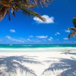 best-beaches-in-mexico-palms.jpg