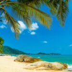 The Best Things to do in Koh Samui, Thailand best-things-to-do-in-koh-samui-thailand.jpg