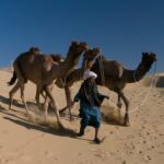 camel-safari-jaisalmer-india.jpg