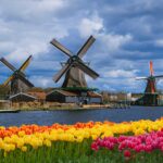 day-trips-from-amsterdam-kinderdijk.jpg