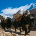 30 Tips for Trekking to Everest Base Camp everest-base-camp-trek-nepal-6.jpg