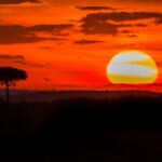 Incredible Kenya Pictures an Amazing Visual Journey masai-mara-kenya-sunset-51.jpg