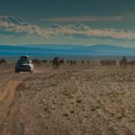 20 Essential Tips for Driving The Mongol Rally | The Planet D mongol-rally-tips-camels-car.jpg