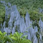 The Pinnacles of Borneo - Amazing Wonder of Gunung Mulu National Park pinnacles-of-borneo-mulu-sarawak.jpg