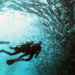 6 Great Sabah Diving Sites Beyond Sipadan sabah-diving-guide-sipadan-divers.jpg