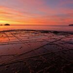 Amazing Things to in Tasmania - Road Trip tasmania-road-trip-header-image-tessellated-pavement-Tasman-Peninsula-800px.jpg