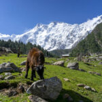 13 Amazing Things to do in Pakistan things-to-do-in-pakistan-featured-photo-option1.jpg