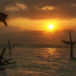 Discover the beauty of Sri Lanka in Photos things-to-do-in-sri-lanka-stilts.jpg