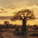 18 Amazing Things to do in Tanzania - Dream Trip things-to-do-in-tanzania-featured.jpg