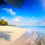 31 Best Things to Do In The Bahamas things-to-do-in-the-bahamas.jpg