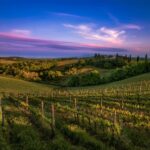 towns-in-tuscany-vineyards-sunset.jpg