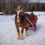 10 Valentine's Day Getaways in Ontario, Canada valentines-getaways-ontario-muskokas.jpg