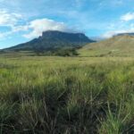 5 Unexpected Reasons to Visit Venezuela venezuela-why-go.jpg