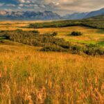 waterton-lakes-national-park-prairies-1.jpg