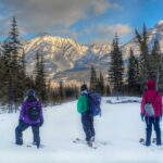 31 Awesome Activites to Enjoy in Winter in Alberta winter-in-alberta.jpeg